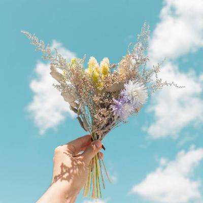 水晶物语中文版